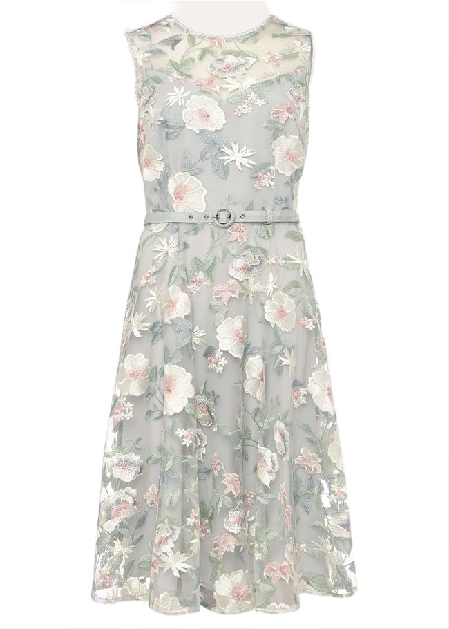  Aria Embroidered Fit And Flare Dress Eau De Nil 220712479