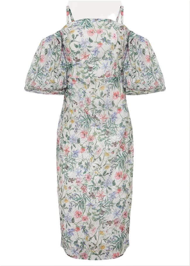 Stevie Floral Bodycon Midi Dress Ivory/Multi 221690931